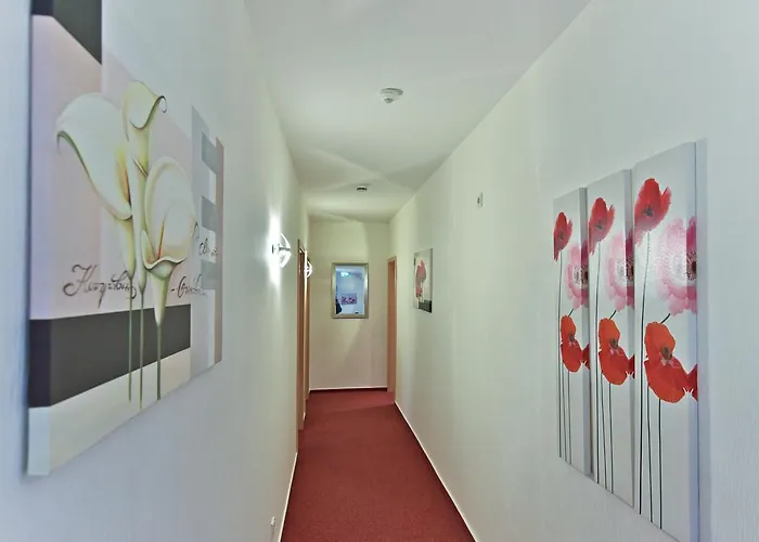 ゲストハウス Alt-finthen 3*