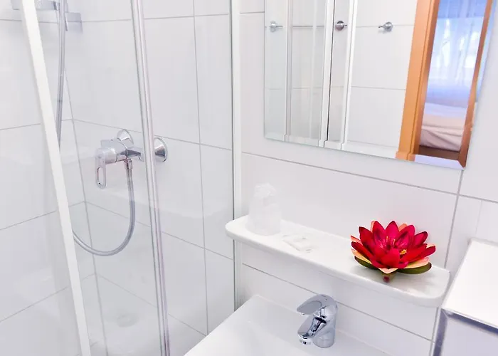 ゲストハウス Alt-finthen