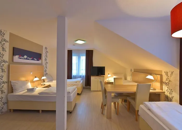 ゲストハウス Alt-finthen マインツ