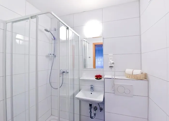 ゲストハウス Alt-finthen 3*